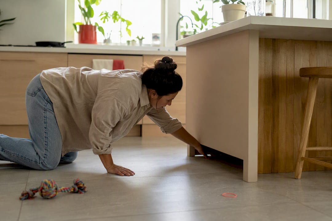 How to Puppy Proof House Before Pickup Day
