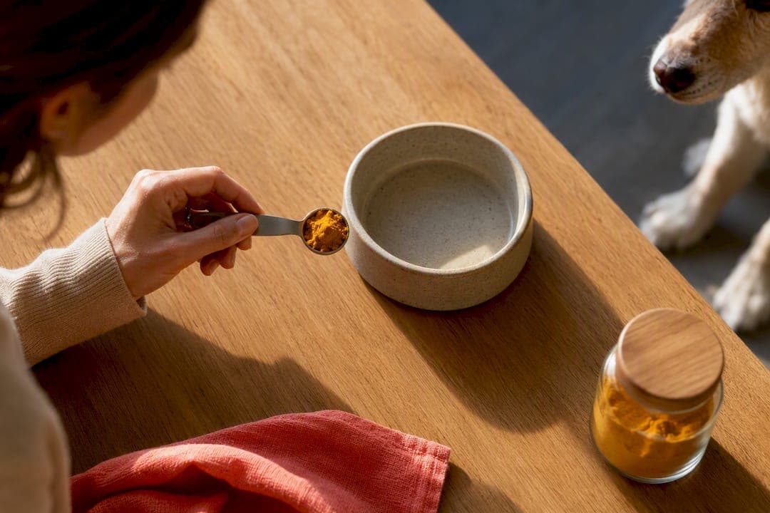 Turmeric for Dogs: How 300 mg per 20 kg Trials Show Form Matters